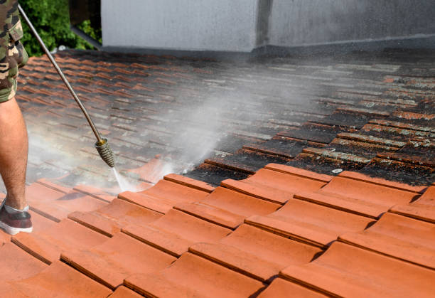 Best Affordable Pressure Washing  in Arthurtown, SC