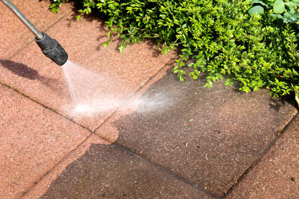 Arthurtown, SC Pressure Washing Pros